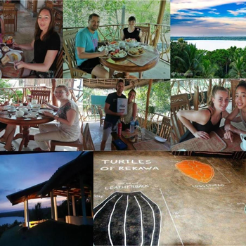Turtle Paradise - Hotel exterior or room view