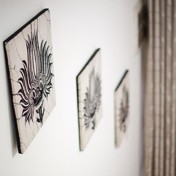 White Rose Hostel - Hotel exterior or room view