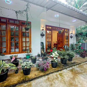 Daffodils Inn - Hotel exterior or room view