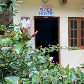Hello Super Hostel - Hotel exterior or room view