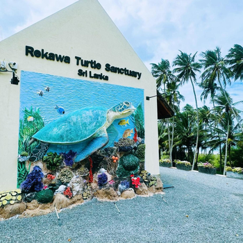 Shine Wave Turtle Beach - Hotel exterior or room view