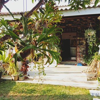 Sunrise Eco Resort - Hotel exterior or room view