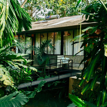 Boho Jungle Studios - Hotel exterior or room view