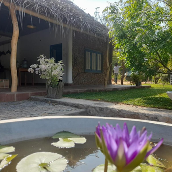 Gange Wadi Wilpattu - Hotel exterior or room view