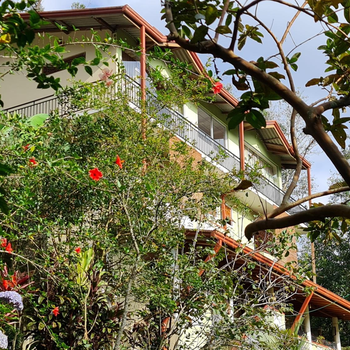 Vintage Village - Hotel exterior or room view