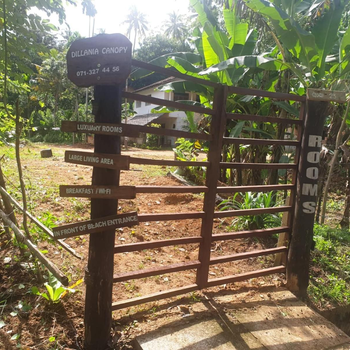 Dillenia canopy - Hotel exterior or room view