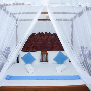 The Ceylon Lazy Lagoon Mirissa - Hotel exterior or room view