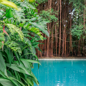 The Fern Cove Villa - Colombo - Hotel exterior or room view