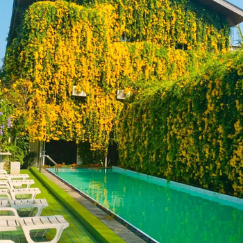 Waasala Eco Luxury Heaven - Hotel exterior or room view