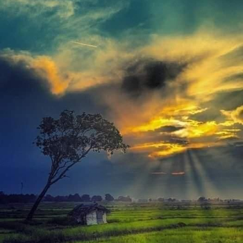 Chanaka hotel - Hotel exterior or room view