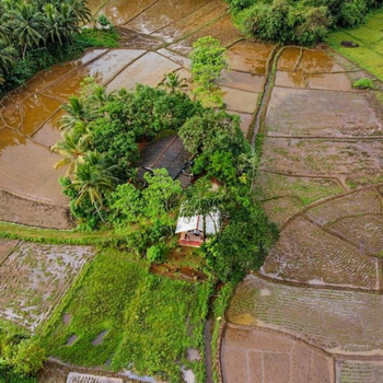 Forest & Fields - Sinharaja - Hotel exterior or room view