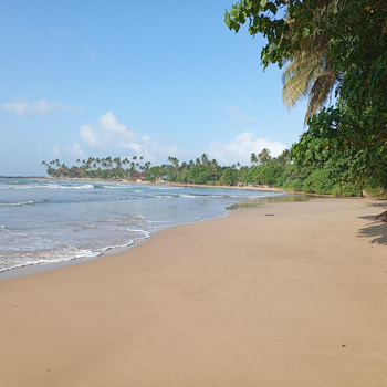 Village Cottage - Hotel exterior or room view