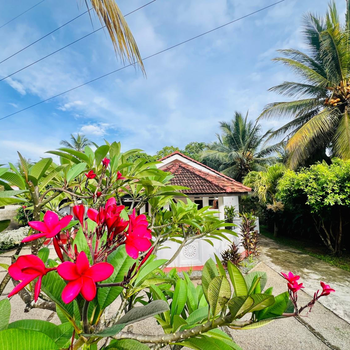 Treat Villa - Tangalle - Hotel exterior or room view