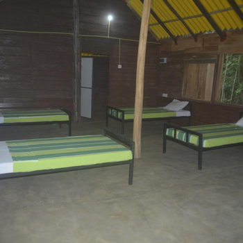 Forest Camping Fun Hostel - Hotel exterior or room view