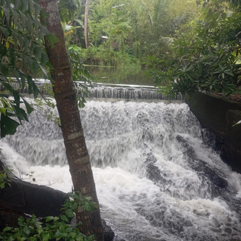 Alankulama Wana Resort - Hotel exterior or room view