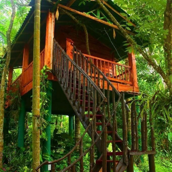 The Hidden Treehouse - Hotel exterior or room view