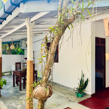 House Of Paradise - Hotel exterior or room view