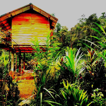 Aqua Cabins - Hotel exterior or room view
