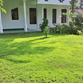 Sheen Apartment - Hotel exterior or room view
