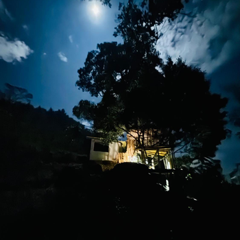 AVA tree house - Hotel exterior or room view