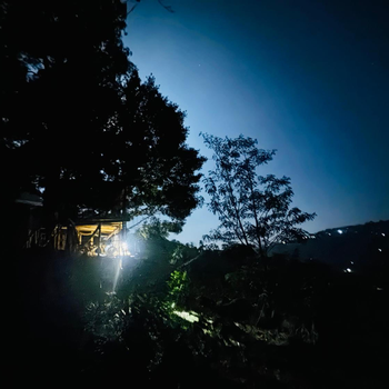 AVA tree house - Hotel exterior or room view