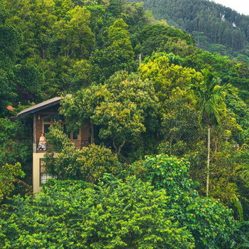New Villa - Nugaliyadda - Hotel exterior or room view