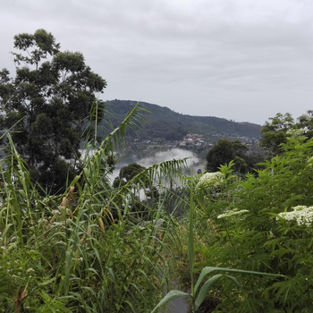 Cool mount inn - Hotel exterior or room view