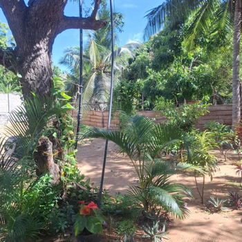 Charlie House - Hotel exterior or room view