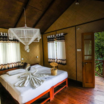 The Thick Forest - Hotel exterior or room view