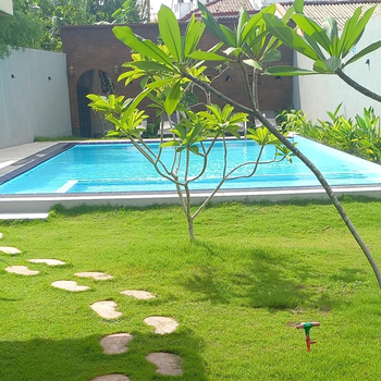 Ocean View tourist guest house at Negombo beach near the airport - Hotel exterior or room view