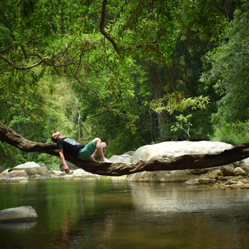 Ella Jungle Resort - Hotel exterior or room view
