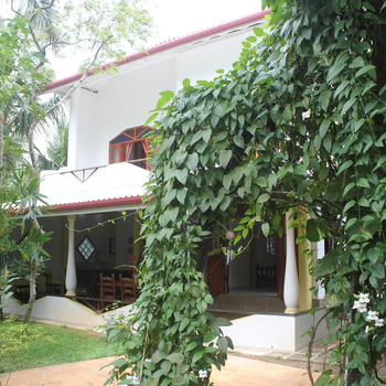 Dionis Villa - Hotel exterior or room view