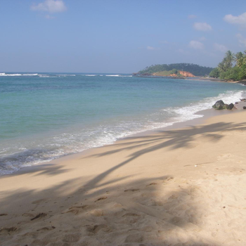 SunRay Rest - Beach View Homestay - Hotel exterior or room view