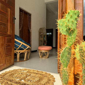 Salty Alchemy - Hotel exterior or room view