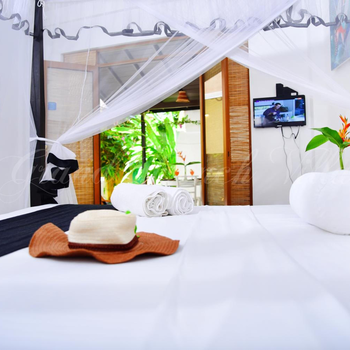 Conch Villa - Hotel exterior or room view