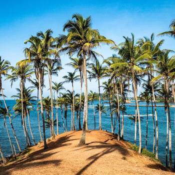 The Spring Holiday - Hotel exterior or room view