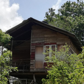 Sigiri Forest View - Hotel exterior or room view