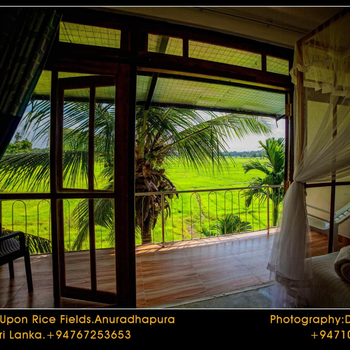 Heaven Upon Rice Fields - Hotel exterior or room view