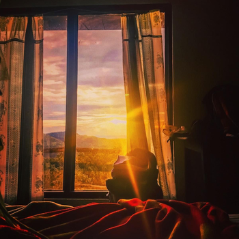 White Monkey Dias Rest - Hotel exterior or room view