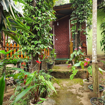 Green Heaven Lodge - Hotel exterior or room view