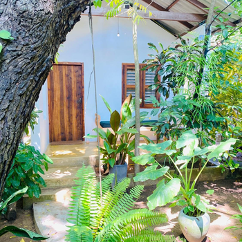 Starfish Cabbana - Hotel exterior or room view