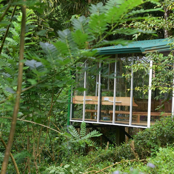 Sinharaja Kurulu Ella Eco Resort - Hotel exterior or room view