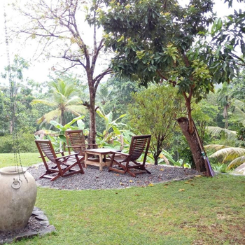 Chirping Birds - Hotel exterior or room view