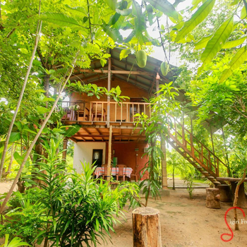 Sigiriya Free View Tree House & Villa - Hotel exterior or room view
