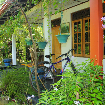 Nature Night Homestay - Hotel exterior or room view