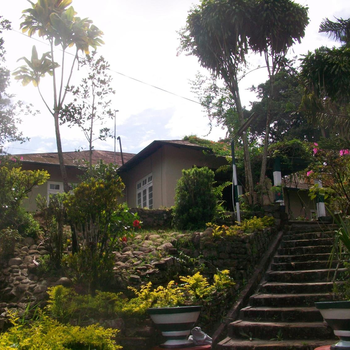 Devon Fall Cottage - Hotel exterior or room view