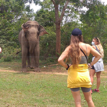 Nature Lovers Safari & Villa - Hotel exterior or room view