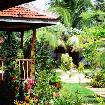 Prime Surfers Bungalow - Hotel exterior or room view
