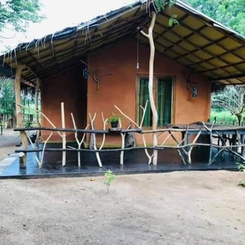 කැලෑව Jungle Eco Resort - Hotel exterior or room view