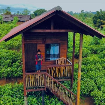 Misty Mountain- Sinharaja - Hotel exterior or room view